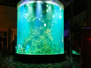 Китай на замовлення дешевий супер великий круглий pmma скляний акваріум очистити циліндр акрилові танки риби