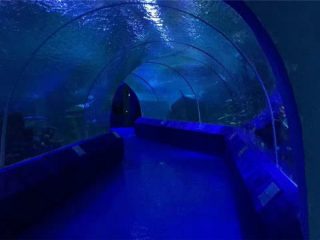180 або 90 градусів акрилові панелі для акваріумних тунелів