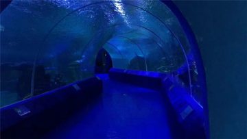 180 або 90 градусів акрилові панелі для акваріумних тунелів