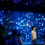 2018 акрилові медузи акваріумні скляні танки