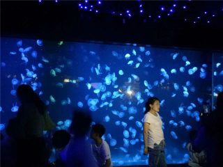 2018 акрилові медузи акваріумні скляні танки
