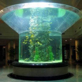ПММА скляний акваріум напівциліндровий проспект чистий танк риби