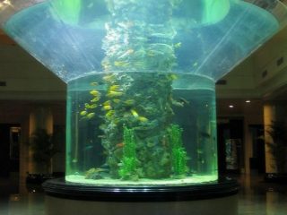 ПММА скляний акваріум напівциліндровий проспект чистий танк риби