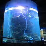 прозорий акриловий балон для акваріумів або парку океану