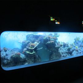 Штучний акриловий циліндричний акваріум з прозорими рибними вікнами