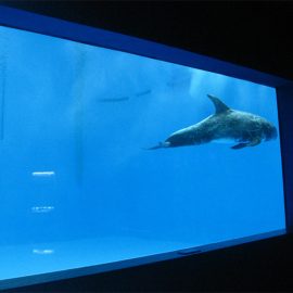 висока якість Великий акриловий акваріум / басейн вікно під водою товстий віконний лист