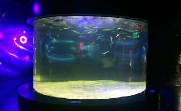Акрилові танк риби