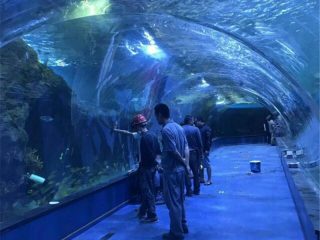 Проект акрилового тунельного океанаріуму в державних акваріумах