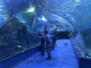 Спеціальний акриловий тунельний акваріум з оргскла