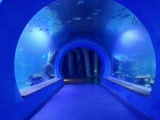 Високий прозорий акриловий тунельний акваріум різної форми
