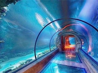 Сучасний дизайн акрилового акваріума довгий тунель