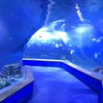 прозоре акрилове скло тунельний акваріум