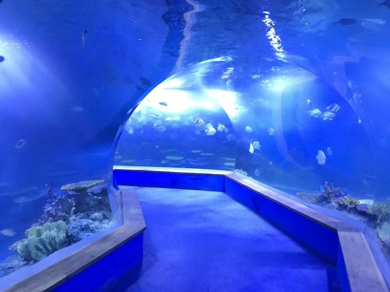 прозоре акрилове скло тунельний акваріум